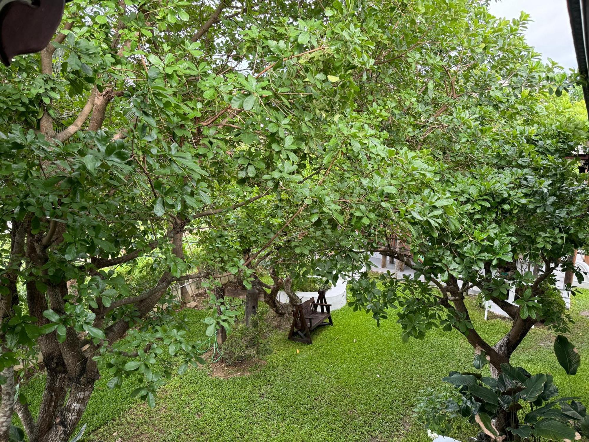 Chiang Mai Las Orquideas Resort Ngoại thất bức ảnh